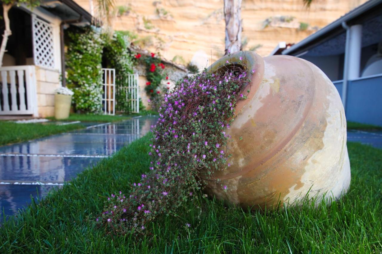 Oldwell Hotel Santa Domenica  Dış mekan fotoğraf